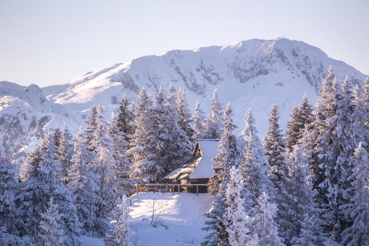 Koca Bistra - Velika Planina Villa Stahovica Eksteriør billede