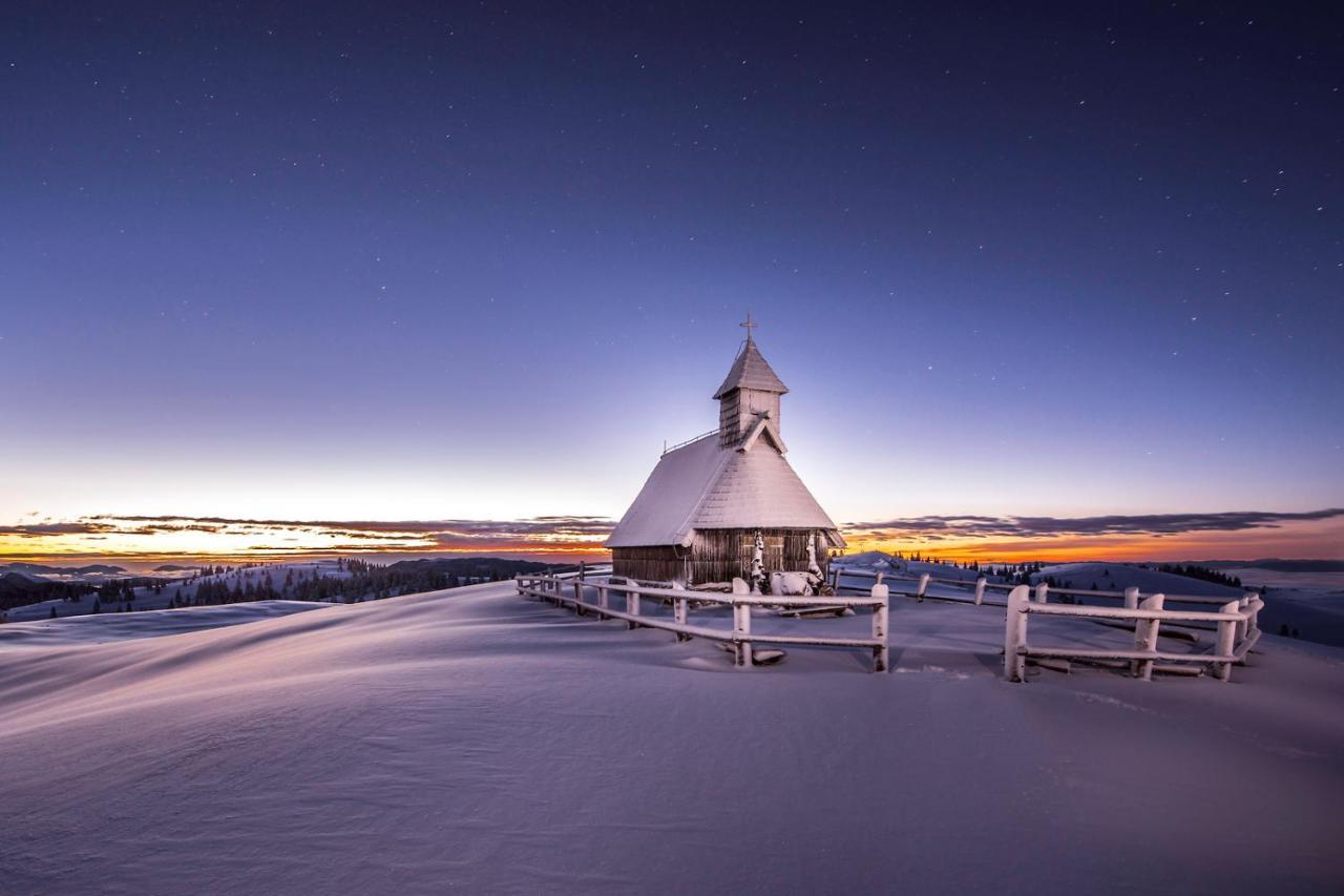 Koca Bistra - Velika Planina Villa Stahovica Eksteriør billede