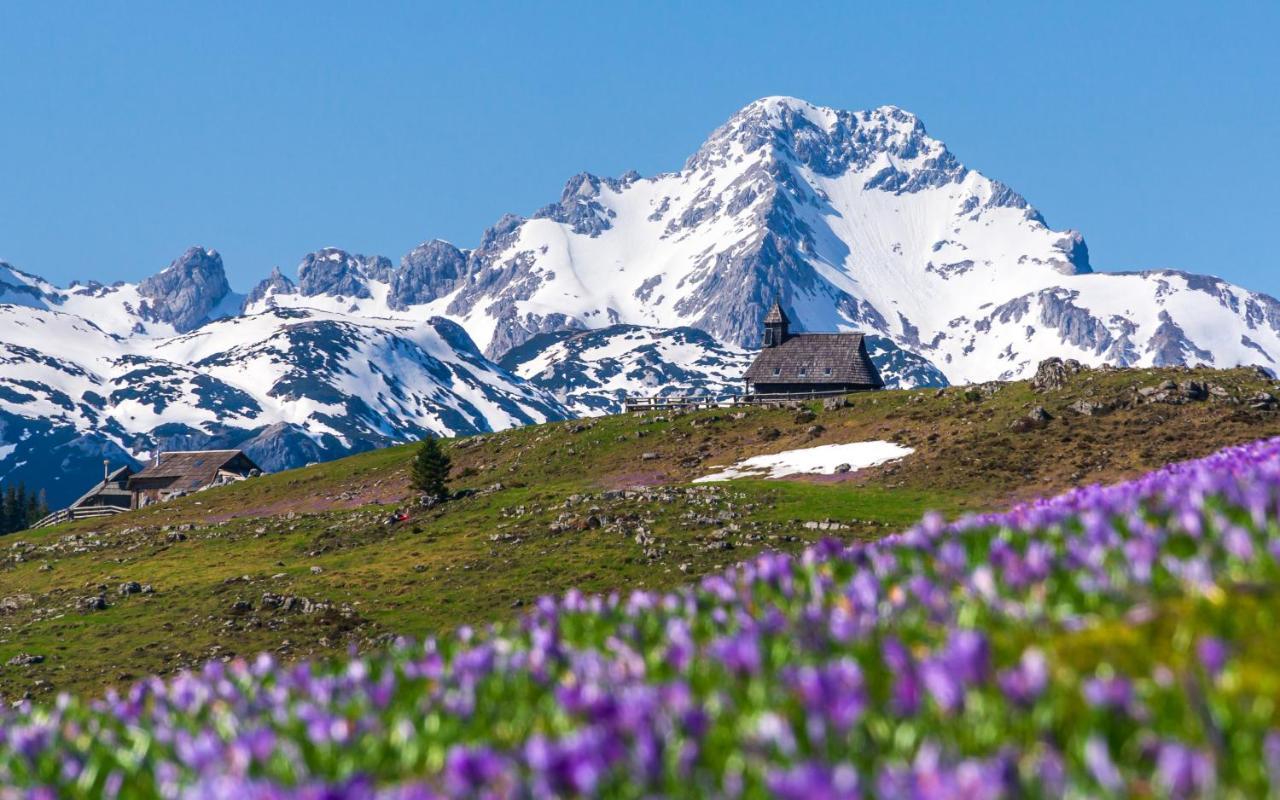 Koca Bistra - Velika Planina Villa Stahovica Eksteriør billede