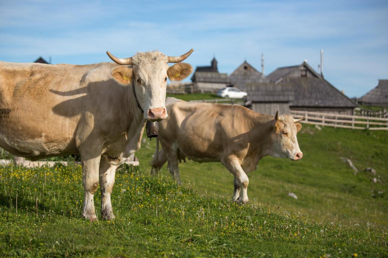 Koca Bistra - Velika Planina Villa Stahovica Eksteriør billede