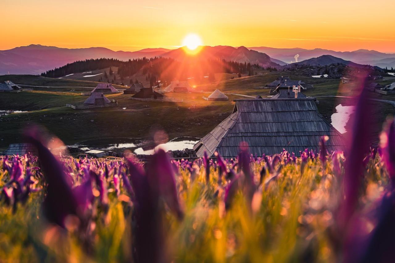 Koca Bistra - Velika Planina Villa Stahovica Eksteriør billede