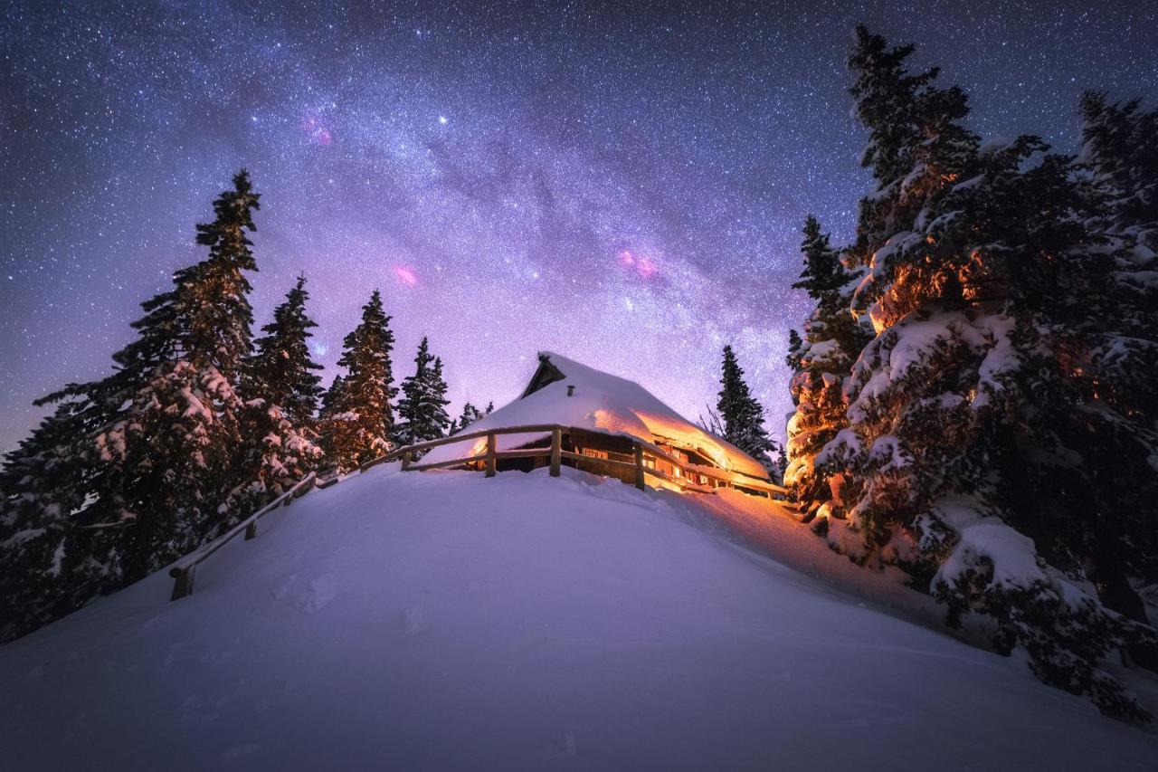 Koca Bistra - Velika Planina Villa Stahovica Eksteriør billede