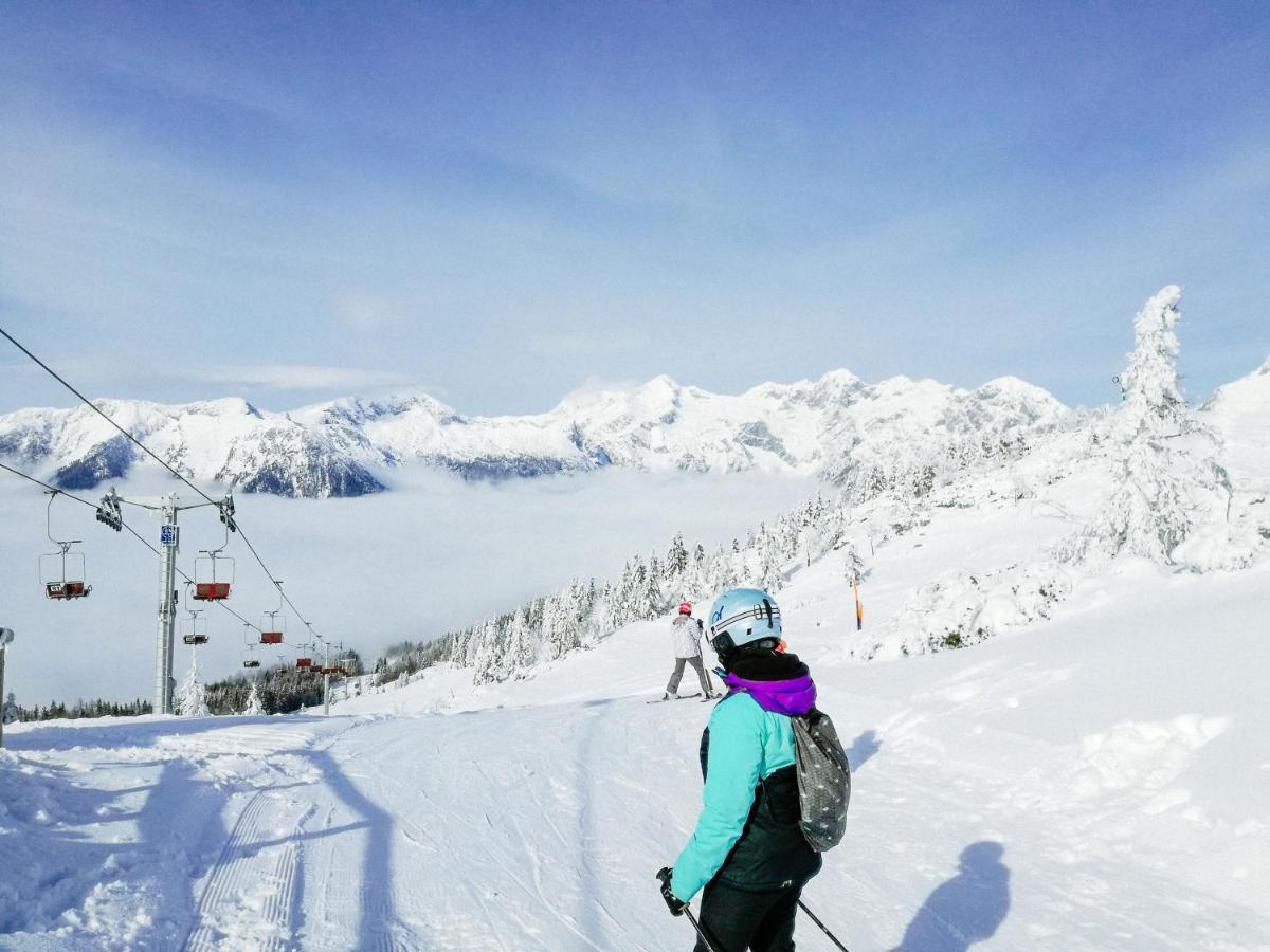 Koca Bistra - Velika Planina Villa Stahovica Eksteriør billede