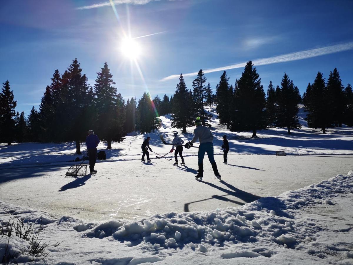 Koca Bistra - Velika Planina Villa Stahovica Eksteriør billede