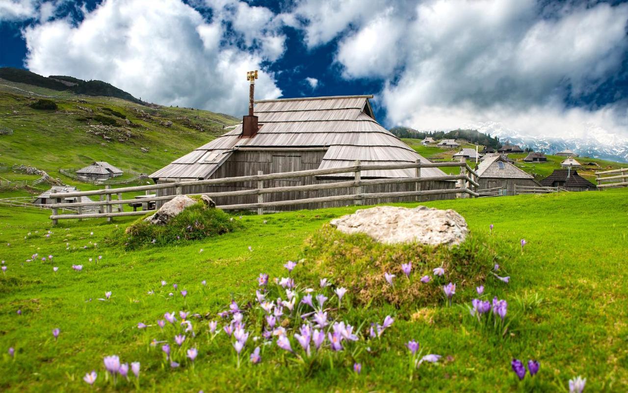 Koca Bistra - Velika Planina Villa Stahovica Eksteriør billede