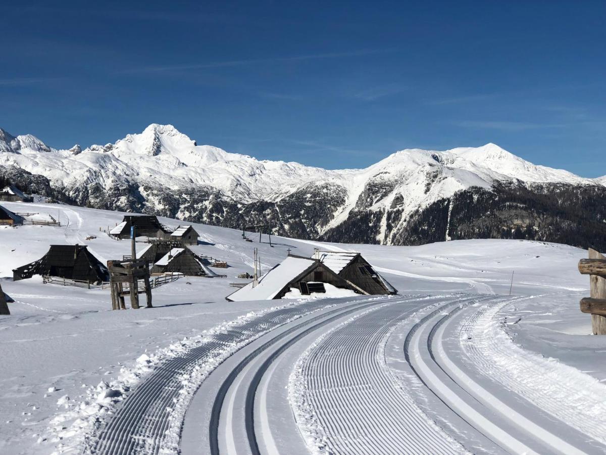 Koca Bistra - Velika Planina Villa Stahovica Eksteriør billede