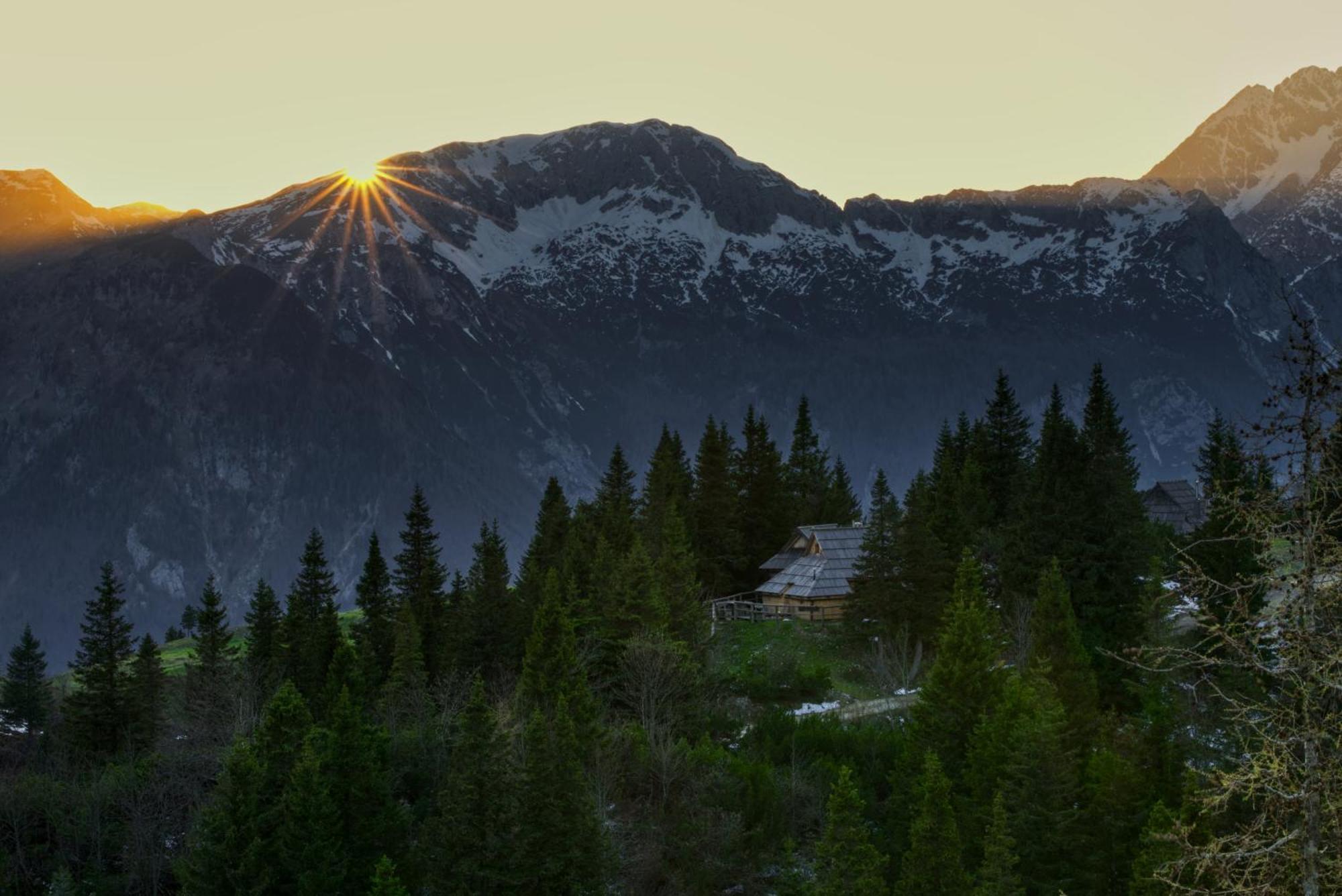 Koca Bistra - Velika Planina Villa Stahovica Eksteriør billede